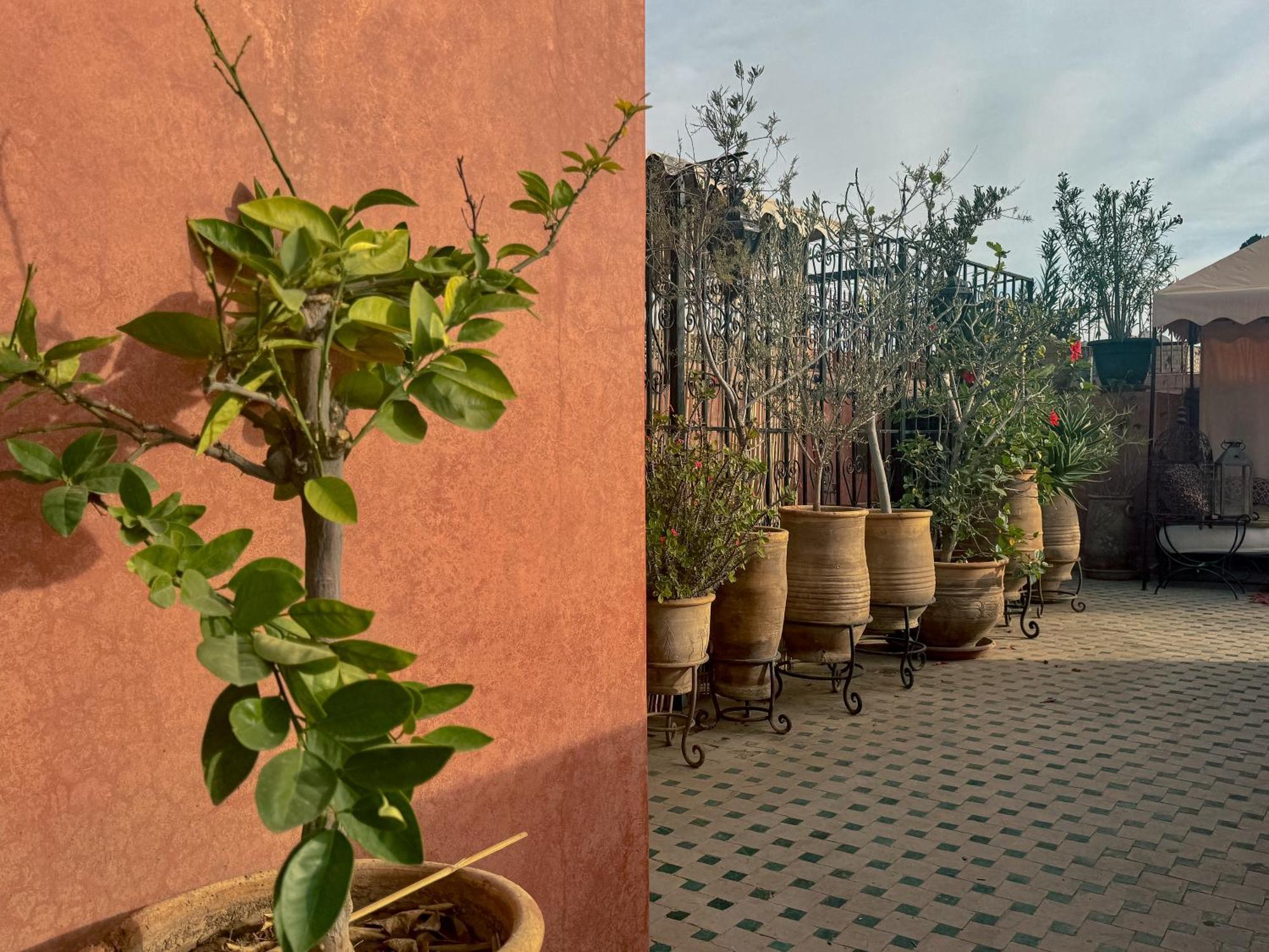 Riad Lapis-Lazuli Marrakesh Luaran gambar